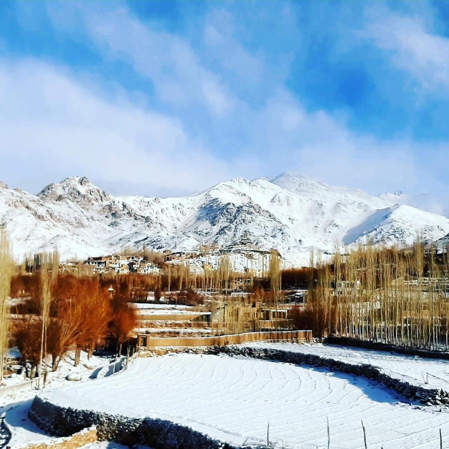 Ladakh Country Inn Leh Exteriör bild